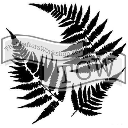 TCW243 Ferns